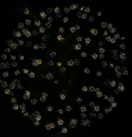 Global Burst