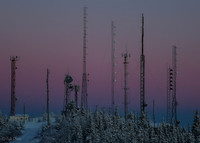 Frequency Forest