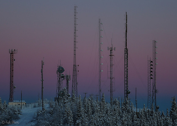Frequency Forest