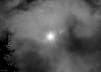 Up in Smoke (B&W)