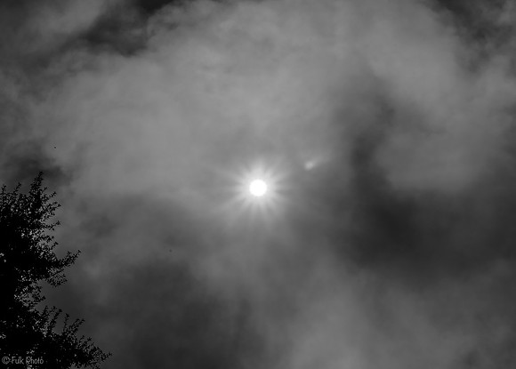 Up in Smoke (B&W)