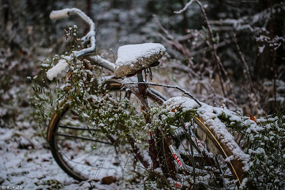 Forgotten