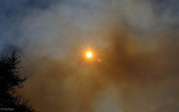 Up in Smoke