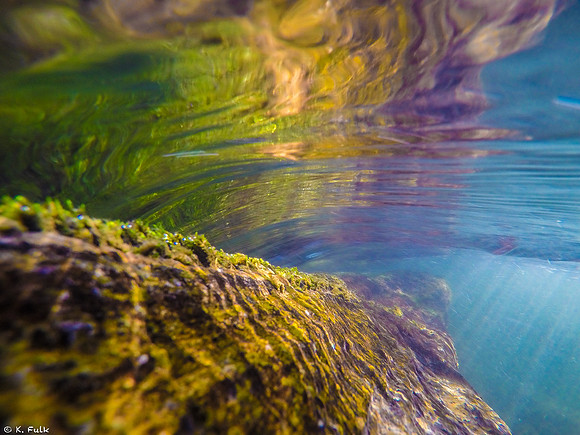 Vibrant Current